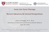 Inner Ear Gene Therapy Recent Advances & Clinical …...Inner Ear Gene Therapy – Recent Advances & Clinical Perspectives Lukas Landegger, M.D., Ph.D. Hearing Loss Association of