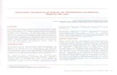 Aneurisma Cerebral en el interior de Glioblastoma multiforme. Reporte …repebis.upch.edu.pe/articulos/hm/v9n2/a10.pdf · 2013-01-23 · Aneurisma Cerebral en el interior de Glioblastoma