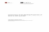 Assessment of the Binding Properites of KtrA to …...Assessment of the Binding Properties of KtrA to ATP and ADP João Miguel Antunes Santos iii Acknowledgments First of all, I can