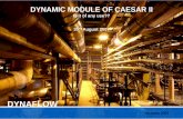 DYNAFLOW · DYNAMIC MODULE OF CAESAR II Is it of any use?? lectures 2007 DYNAFLOW 30th August 2007. ... • Effects of unsteady loads on stress and load levels in piping systems.