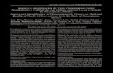 Impacto e Identificación de Virus Fitopatógenos …Impacto e Identificación de Virus Fitopatógenos Sobre Rendimiento y Calidad del Ajo (Allium sativum L), en el Estado de Guanajuato,
