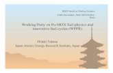 Working Party on Pu-MOX fuel physics and …Working Party on Pu-MOX fuel physics and innovative fuel cycles (WPPR) Hideki Takano Japan Atomic Energy Research Institute, Japan R&D Needs