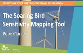 The Soaring Bird Sensitivity Mapping Tool Clarke...SENSITIVITY MAPPING Sensitivity mapping is a valuable tool for effective wind energy planning, helping developers and regulators