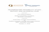 TELEMEDICINE FEASIBILITY STUDY REPORT AND BUSINESS CASE · TELEMEDICINE FEASIBILITY STUDY REPORT AND BUSINESS CASE Prepared for: Eric Kelly, President, and Randy Scheid, Vice President,