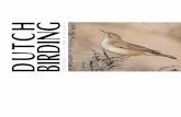 DUTCH BIRDING · Dutch Birding International journal on Palearctic birds ed i to R s Dutch Birding Duinlustparkweg 98A 2082 EG Santpoort-Zuid Netherlands editors@dutchbirding.nl