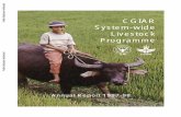 CGIAR System-wide Livestock Programme - World Bankdocuments.worldbank.org/curated/en/556181468150879634/pdf/63… · genetic materials with residues suitable for use as animal feed