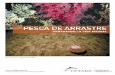 PESCA DE ARRASTRE - Oceana · escarbar en el fondo, el arrastre destruye el refugio de diversos organismos que, entonces, quedan visualmente expuestos a sus depredadores. Al mismo