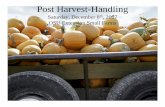 Post Harvest-Handlingkenanaonline.com/files/0040/40822/Postharvest.pdf · Post Harvest-Handling Saturday, December 8th, 2007 OSU Extension Small Farms. Why is Post-Harvest Handling