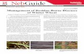 Management of Residue-Borne Diseases of Winter …extensionpublications.unl.edu/assets/pdf/g1671.pdfCrop Residue Management To reduce soil erosion from wind and water, crop resi-due