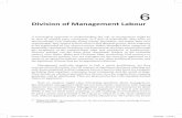 Division of Management Labour - Themanager.org .pdf · Division of Management Labour A sociological approach to understanding the role of management might be ... according to a prepared