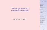 Pathologic anatomy (introductory lecture) · Pathologic anatomy Morphologic pathology General and organ pathology Pathology and its position in medicine Recommended literature Institutes