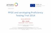Maisons-Alfort location PFGE and serotypingProficiency ... · European Union Reference Laboratory for Listeria monocytogenes 90% groups combined ApaI AscI n Serotypes MLST clonal
