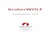 Sample Reports – U.S.A.get.lwolf.com/.../brokerWOLFSampleReportsUSMARKED.pdf · Sample Reports – U.S.A.  1.866.CRY.WOLF(279.9653) Modified: 17/04/20