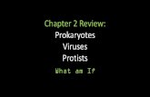 Chapter 2 Review: Prokaryotes Viruses Protistsntcs.on.ca/yabbfiles/Attachments/Ch_2_Review_-_without_mark.pdf · Eubacteria - proteobacteria and cyanobacteria are believed to be precursors