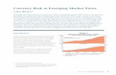 Currency Risk at Emerging Market Firms - RBA · Currency Risk at Emerging Market Firms Callan Windsor* Exchange rate fluctuations can affect the value of emerging market (EM) firms