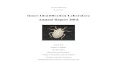 Insect Identification Laboratory Annual Report 2010 · A total of 1137 requests were received in 2010. This report summarizes the activity of the Insect Identification Laboratory