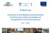 ProMedFoods Promotion of local Mediterranean fermented ...€¦ · Rutas metabólicas de interés tecnológico Dinámica de las sucesiones microbianas • Proceso de elaboración