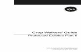 Crop Walkers’ Guide Protected Edibles Part II · Crop Walkers’ Guide HDC is a division of the Agriculture and Horticulture Development Board Protected Edibles Part II