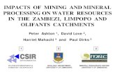 IMPACTS OF MINING AND MINERAL PROCESSING ON WATER ... · IMPACTS OF MINING AND MINERAL PROCESSING ON WATER RESOURCES IN THE ZAMBEZI, LIMPOPO AND OLIFANTS CATCHMENTS Peter Ashton 1,