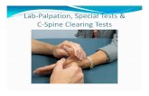 K-Lab-Palpation, Special Tests & C-Spine Clearingmeorthopedicseminars.com/wp-content/uploads/2014/03/K-Lab-Palp… · Lab‐Palpation, Special Tests & C‐Spine Clearing Tests. Remember…