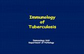 Immunology of Tuberculosis - KSUMSCksumsc.com/download_center/1st/3. Respiratory Block...Immunology The majority of individuals in the general population who become infected with M.