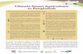 Climate-Smart Agriculture in Bangladesh€¦ · Bangladesh where many smallholders occupy low-lying, flood prone deltas. CSA interventions can draw on traditional practices like the