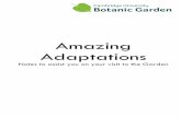 Amazing Adaptations - Amazon S3€¦ · Amazing Adaptations Typically 30 minutes. Many alpine species are miniature cousins of familiar garden plants. How can ... Epiphytes make their