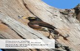 INDIAN MYNA PROJECT HANDBOOK - GLENRAC - Home · Edited version 2019 - CVCIA Indian Myna control program by Kevin & Laura Noble. Originally written and compiled by Tien Pham when