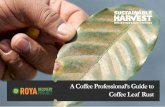 A Coffee Professional’s Guide to Coffee Leaf Rust...Coffee Leaf Rust is a disease caused by the fungus Hemileia vastatrix, which feeds on the living cells of the coffee plant, consuming