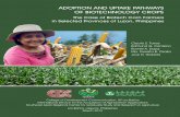 adopt biotech corn. - ISAAA.org · adopt biotech corn. The Case of Biotech Corn Farmers in Selected Provinces of Luzon, ... REVIEW OF RELATED LITERATURE 4 Biotechnology in the Philippines