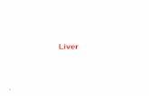 Liver - Med Study Groupmsg2018.weebly.com/Uploads/1/6/1/0/16101502/Giliver_1.pdf• ↑ liver • ↑ liver enz. • Severe hepatic dysfunction is unusual -Alcoholic hepatitis •