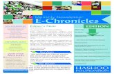 Monthly Newsletter E-Chronicles - Hashoo Foundationhashoofoundation.org/wp-content/themes/hashoo/pdf/... · Inauguration of Traditional Music Schools Closing Ceremony of Life Skills