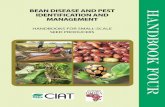 BEAN DISEASE AND PEST IDENTIFICATION AND MANAGEMENT · Bean disease and pest identification and management / Robin Buruchara, Clare Mukankusi and Kwasi Ampofo. ... reproduction, and
