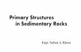 Primary Structures in Sedimentary Rocks · Primary Sedimentary Structures Major Primary Sedimentary Structures are: 1. Bedding (Stratification) 2. Graded Bedding 3. ... Rain drop