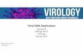 Viral DNA Replication · Virology Lectures 2020 • Prof. Vincent Racaniello • Columbia University What’s the host for? Viruses can’t do it themselves • Viral DNA replication