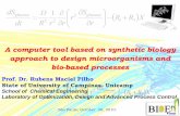 A computer tool based on synthetic biology approach to design ... · A computer tool based on synthetic biology approach to design microorganisms and bio-based processes São Paulo,