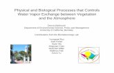 Physical and Biological Processes that Controls Wt …...Physical and Biological Processes that Controls Wt V E h bt V ttiWater Vapor Exchange between Vegetation and the Atmosphere