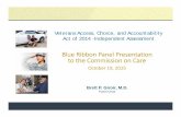 Blue Ribbon Panel Presentation to the Commission on Care · 2017-01-13 · Blue Ribbon Panel Presentation to the Commission on Care October 19, 2015 Veterans Access, Choice, ... Katrina