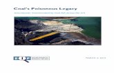 Coal’s Poisonous Legacy - Environmental Integrity€¦ · 91 percent of coal plants have unsafe levels of one or more coal ash constituents in groundwater, even after we set aside