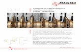 Compressor Performance Assessment - Mach10The compressor vendor advised that the compressor would have been unﬁt‐for‐purpose in less than 6 months due to the ongoing performance