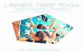 LIMBER TREE YOGA...C O F F E E & G E L A T Othe program The Limber Tree 300 hour advanced teacher training program will provide you with a comprehensive framework to deepen your skills
