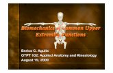 Biomechanics of UE - 123seminarsonly.com€¦ · flexion • Elbow flexors – Biceps – Brachialis – Brachioradialis • Pronation • Supination • Radiocarpal Joint – Radius