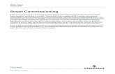 Smart Commissioning v14 - Emerson Electric...Smart Commissioning to HART 5 devices, DeltaV provide an option to use the standard message field as replacement of the HART long tag.