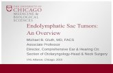 Endolymphatic Sac Tumors: An Overview - VHL Alliancevhl.org/wp-content/uploads/2015/11/VHL-Gluth.pdf · • Alternate approach if the inner ear is involved is to insert a “place