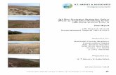Salt River Ecosystem Restoration Project Final Report · Ecotone (Year 1), Final Report 1 H. T. Harvey & Associates 18 December 2014 Section 1.0 Introduction 1.1 Project Background