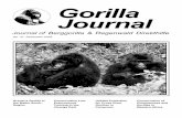 Gorilla Journal - berggorilla.org · 3 Gorilla Journal 31, December 2005 as his left hand is missing. In Septem-ber 2002, Mugaruka separated from his females, although no interaction