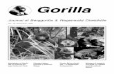 Journal ofBerggorilla&RegenwaldDirekthilfe · 4 immatures), the Nindja group con-sisted of 25 gorillas (13 females and 12 . 2), December 1999. Limbe Wildlife Center, poaching. GORILLAS.