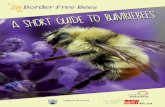 A Guide to Bumble Bees - Home | UBC Blogsblogs.ubc.ca/theecoartincubator/files/2016/04/Bumble-Bee...sA box should be at least 15 cm X 15 cm X 15 cm and it can be made out of most types