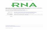 SRP RNA provides the physiologically essential GTPase ... · SRP RNA provides the physiologically essential GTPase activation function in cotranslational protein targeting FAI Y.