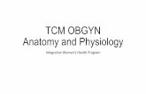 TCM OBGYN Anatomy and Physiology - Acupuncture CEU Online · TCM OBGYN Anatomy and Physiology Integrave Women’s Health Program ... observaons in TCM focusing on outward signs and
